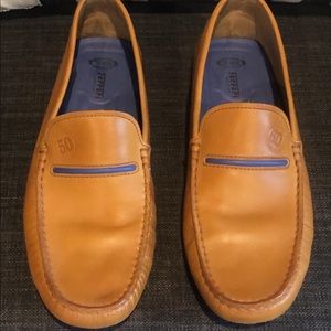 Toms Ferrari drivers